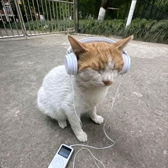 临界点