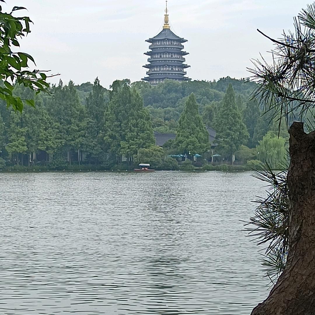 🐍¹⁰.₀₆乐℘