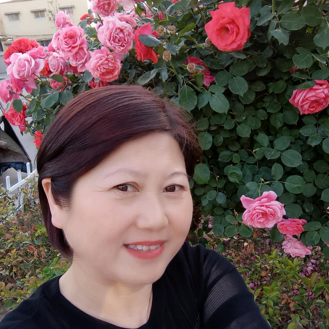 滑县兰姐