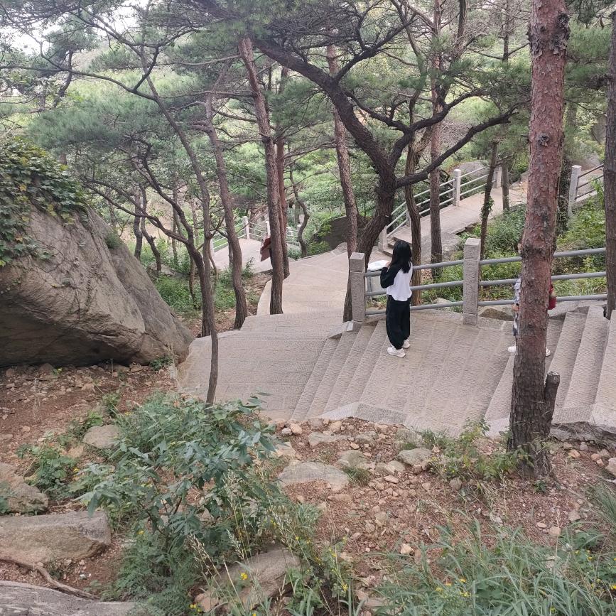 相逢