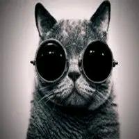 仰望那片海（互关）