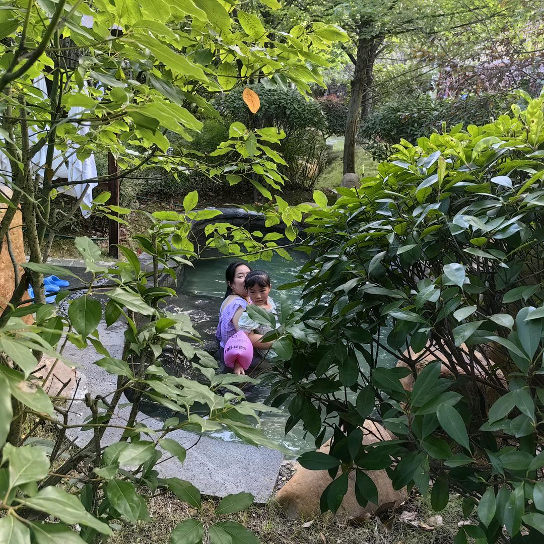 艺枫短剧