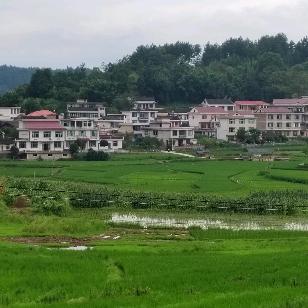 重新开始