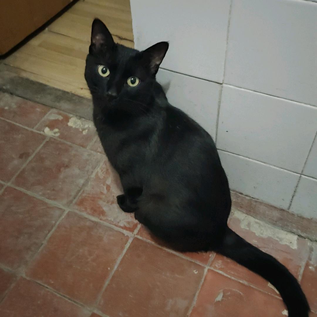 Hᴀʙɪᴛ(눈_눈)