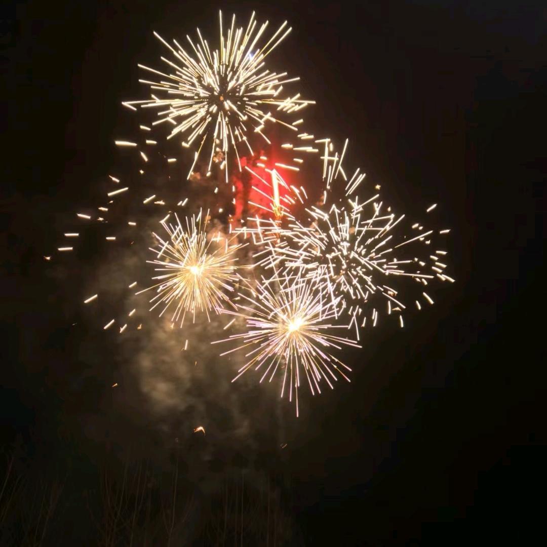 尔尔