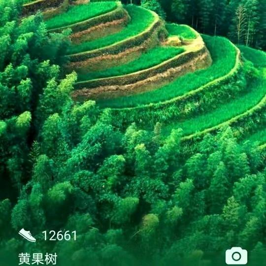 用户3799272664195