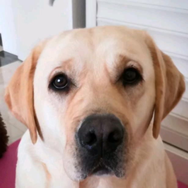 袁宝&毛孩之家驿站