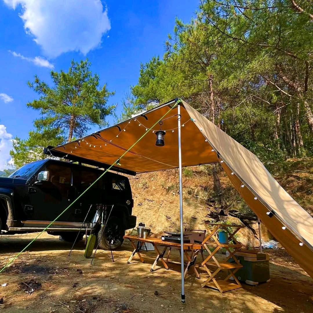 Adexsent~羽翼渐丰