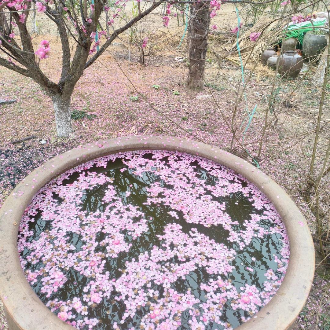 一粒凡尘ᥫᩣ໌💕