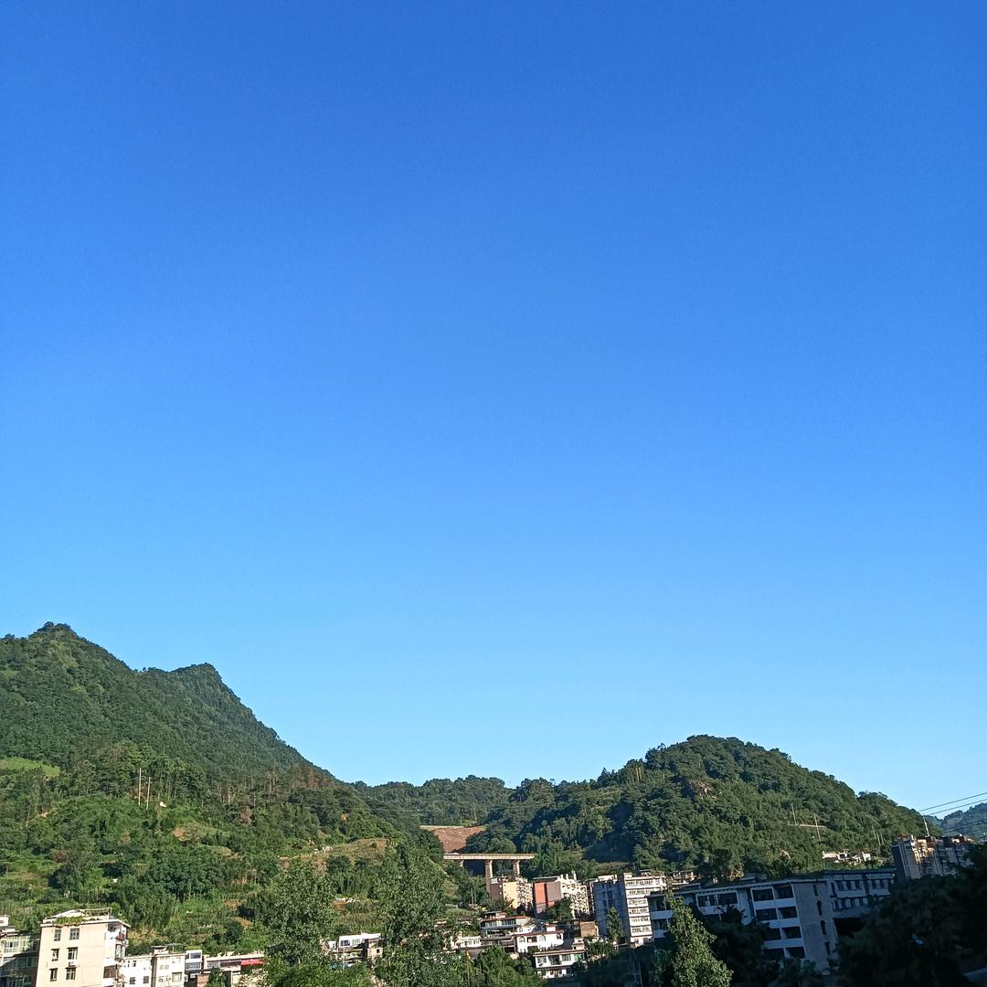 托起明天的花蕾