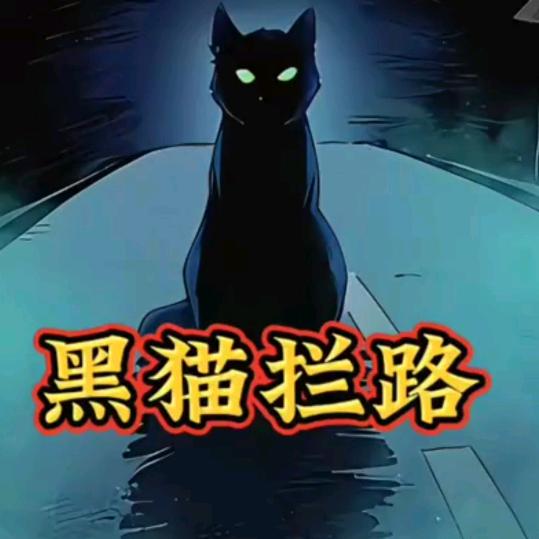 宫海蛟龙