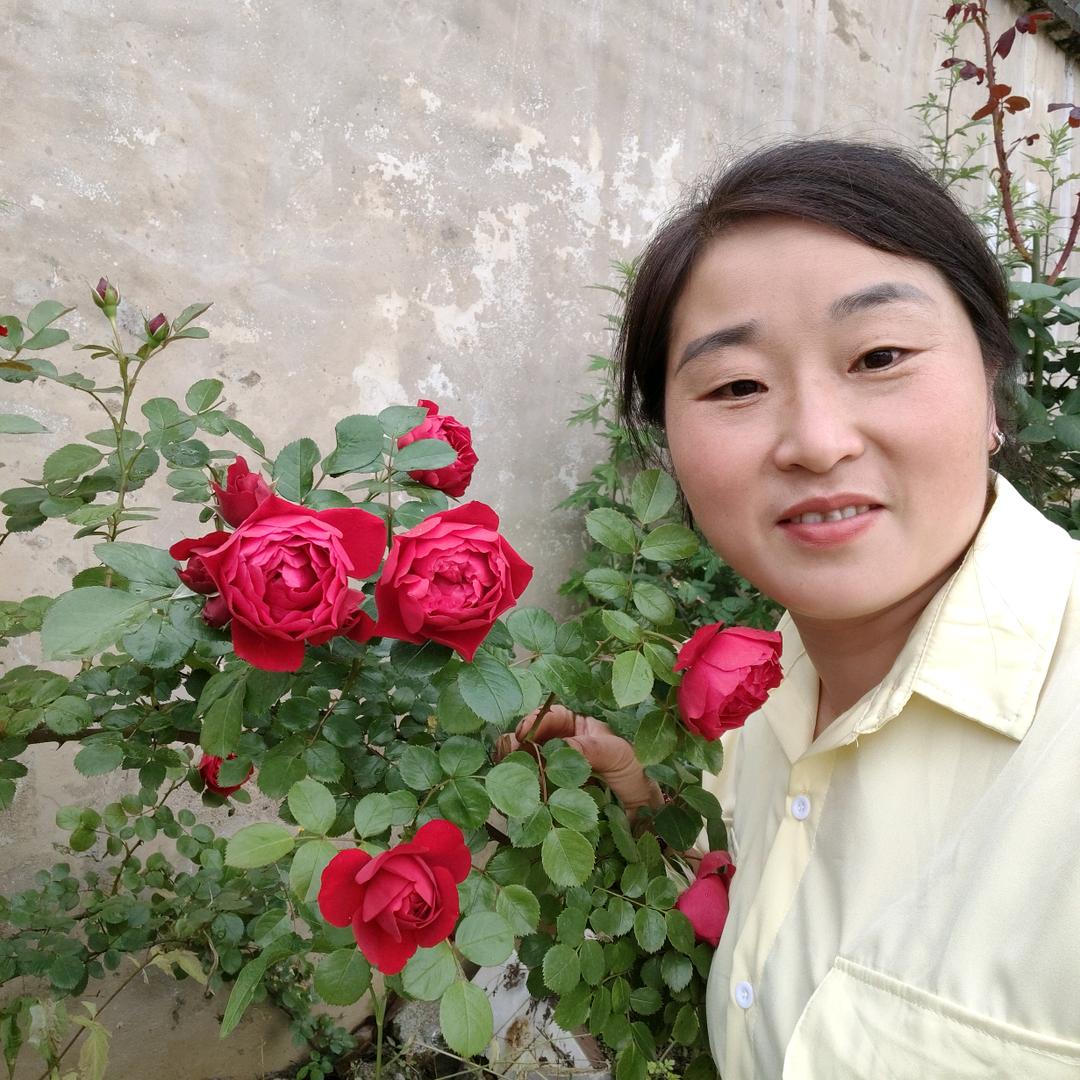 为龍停劉