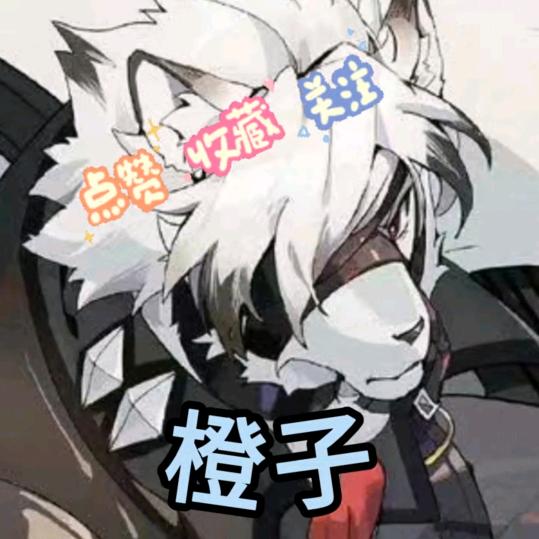 橙子を