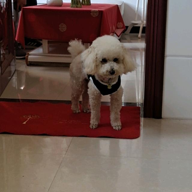 平安快乐