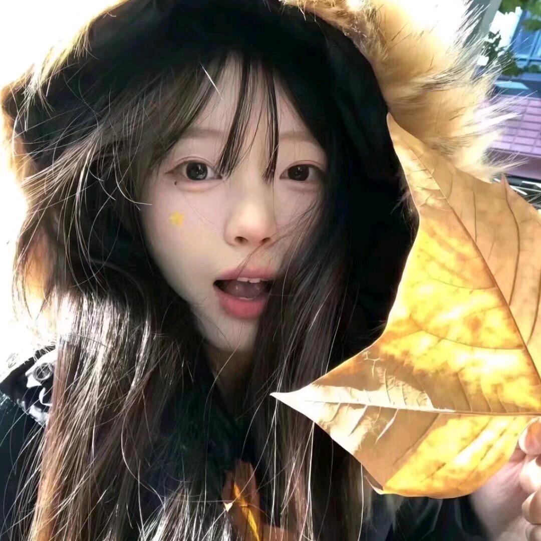 窦