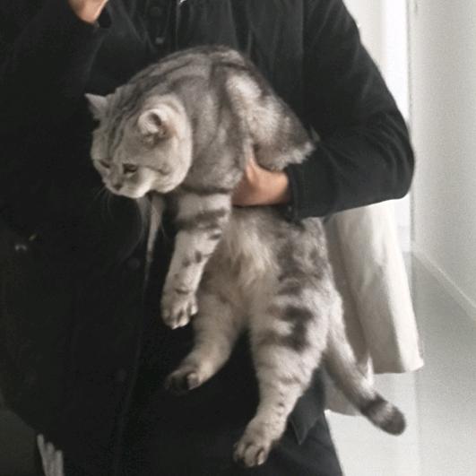 一满