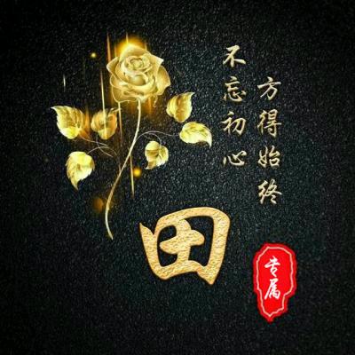田氏文化传承人（田佳丽）