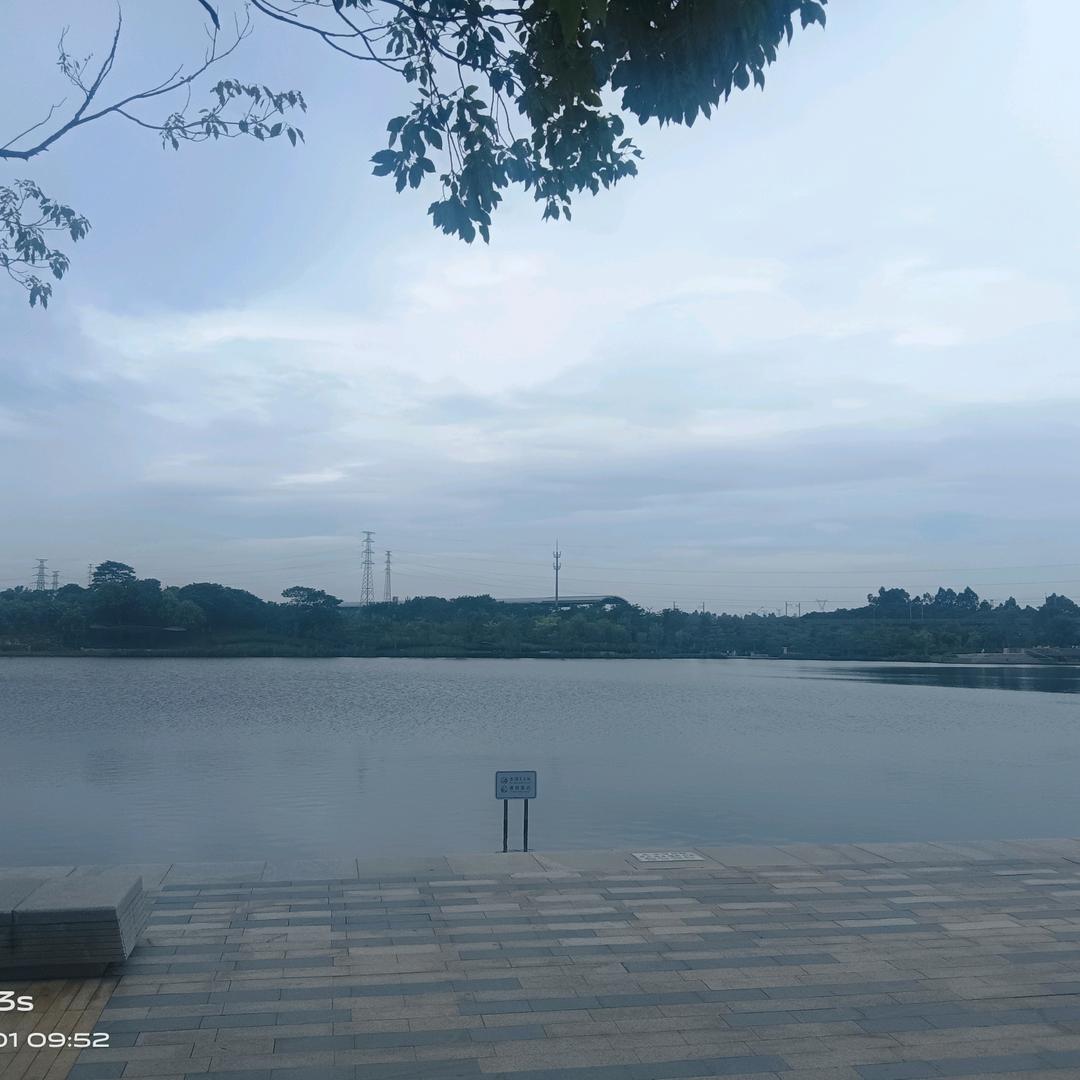 星光 雨田