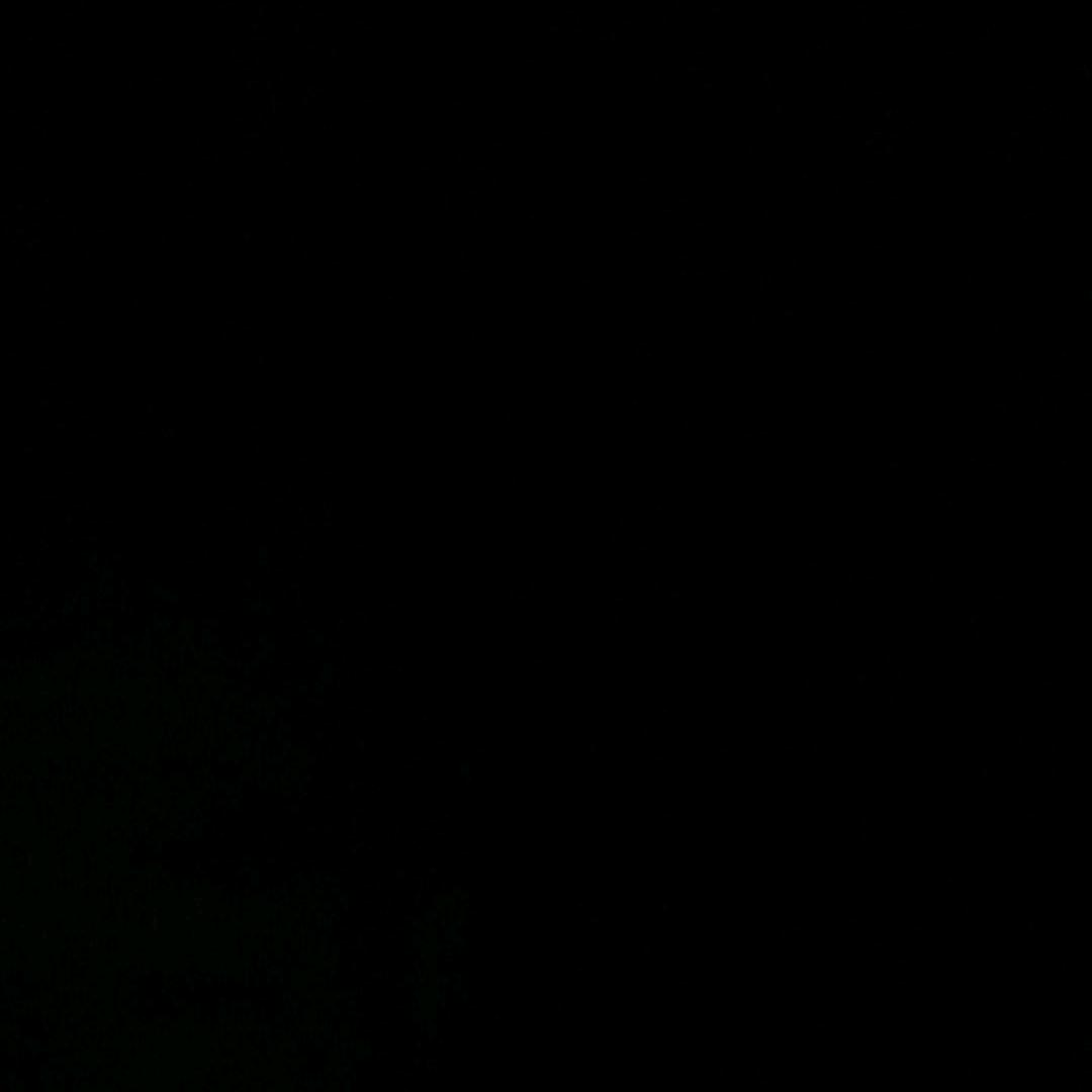 ，。。，