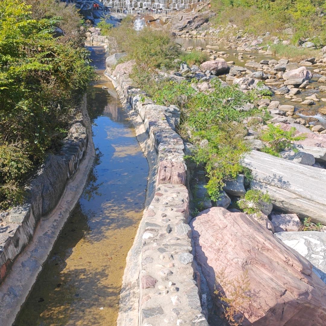 龘忈圙凊槑