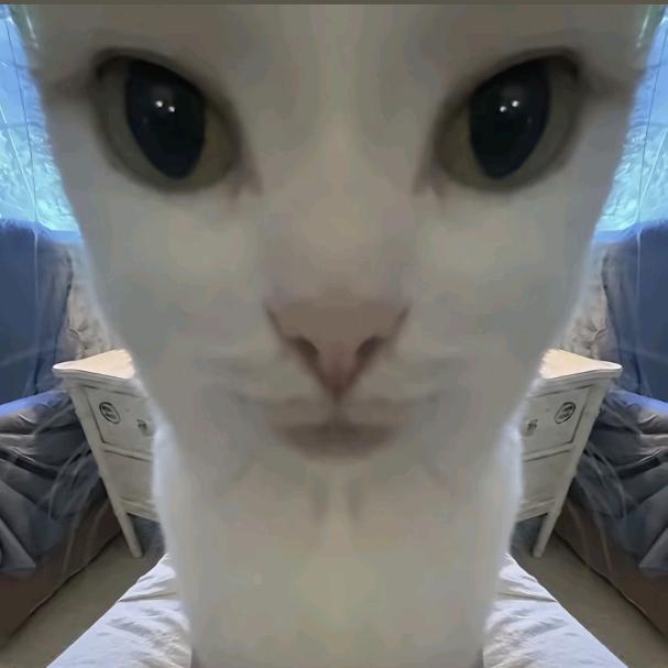 玄子蝎
