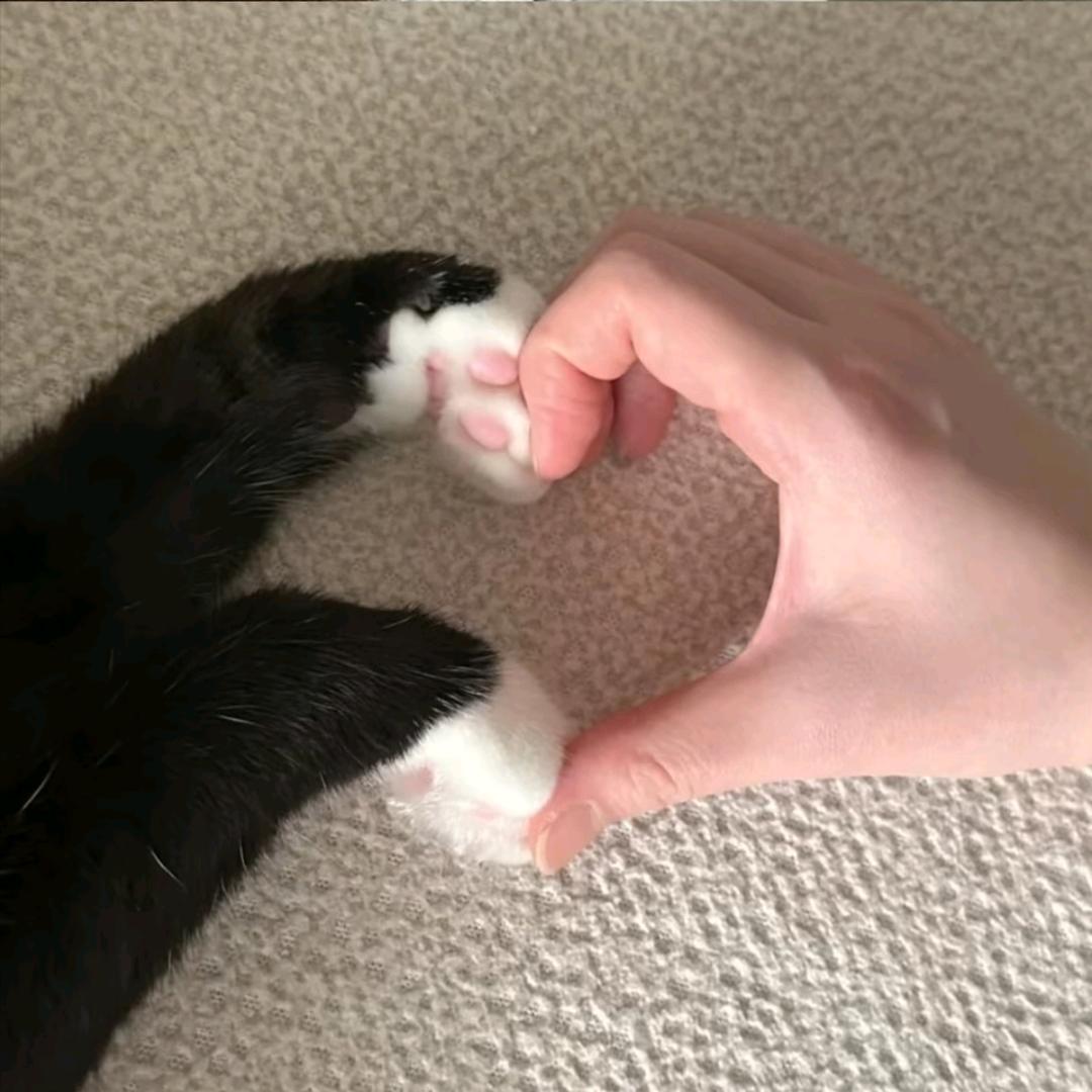 .憨。