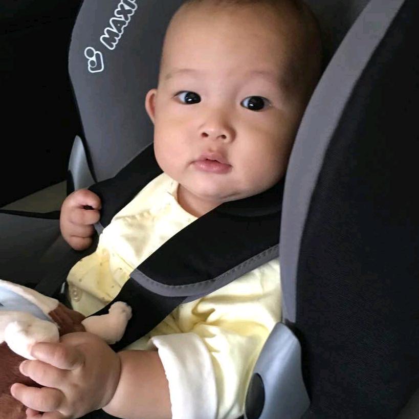何小梅