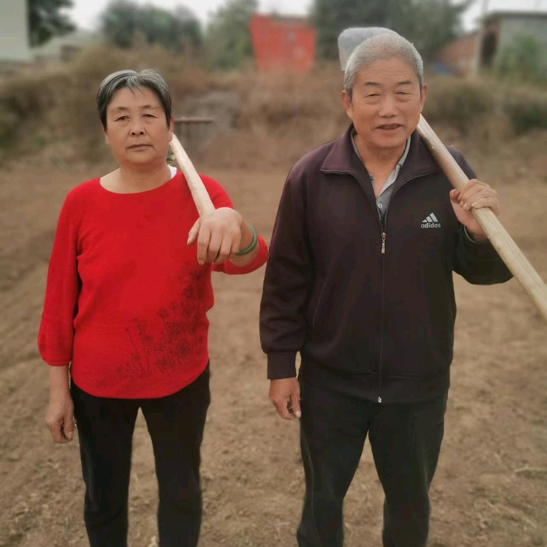农村袁老头儿