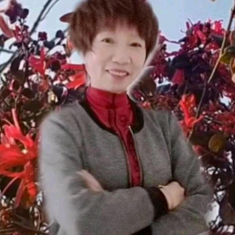 茶色阳光