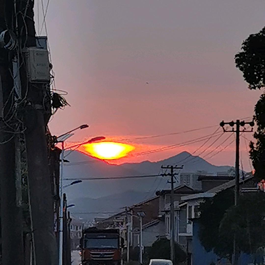 手可摘星陈