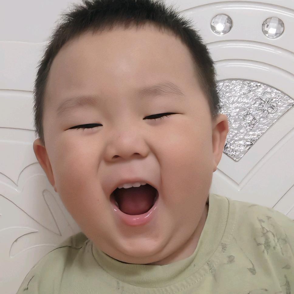 元宝成长记