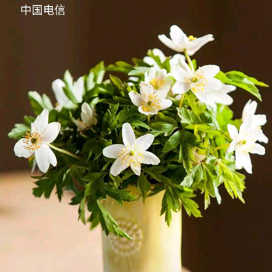 用户3789107998631