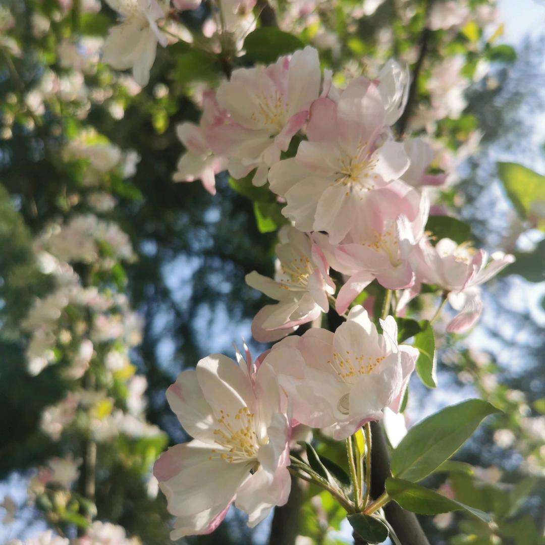 信天*^_^*不信命