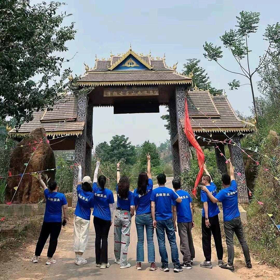 茶缘芳村（牛姐）