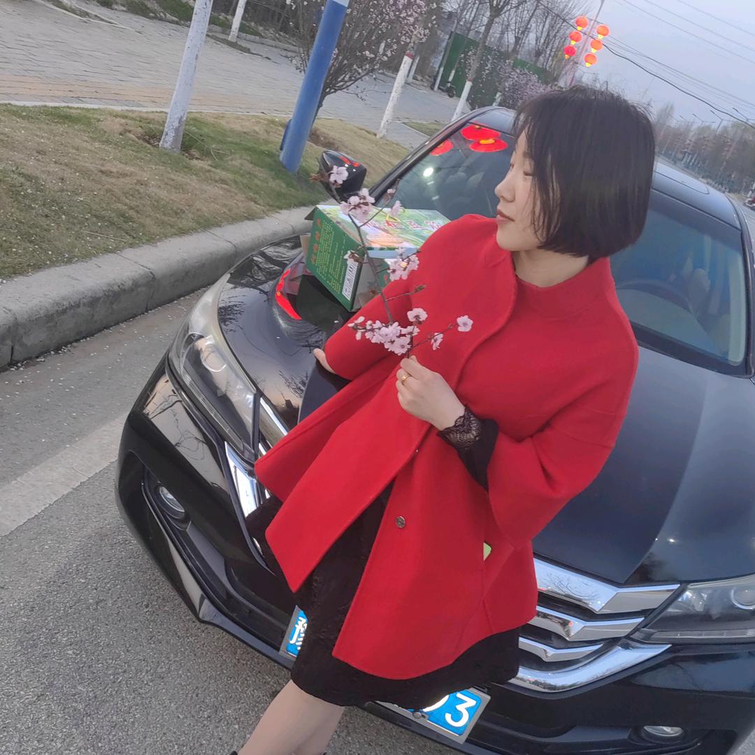 桐柏豆筋