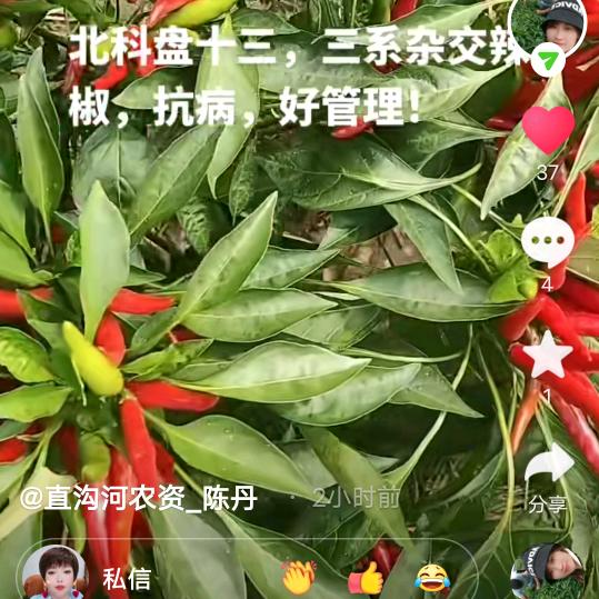 用户1228261628925