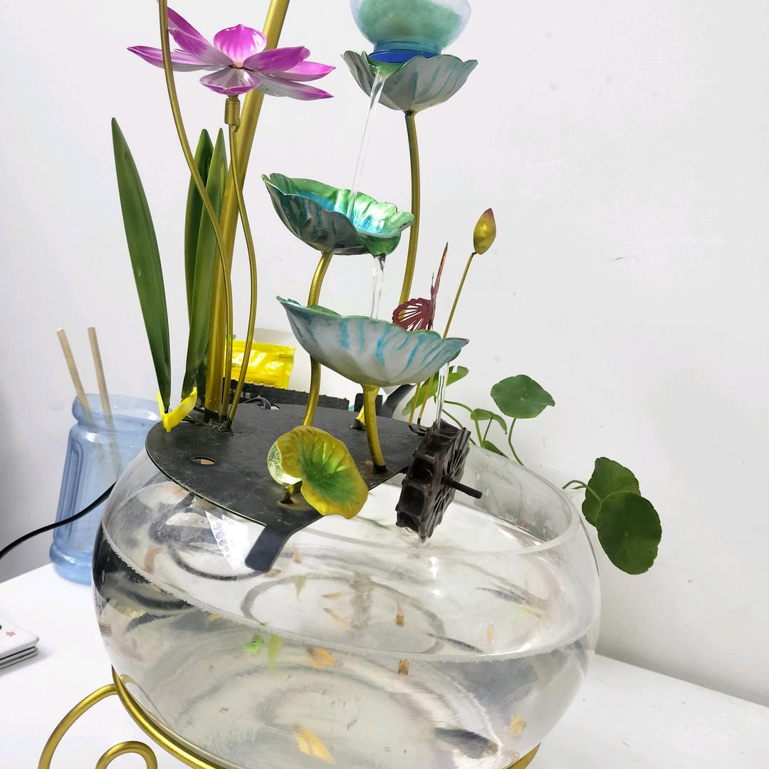 🐲家有两宝🐕