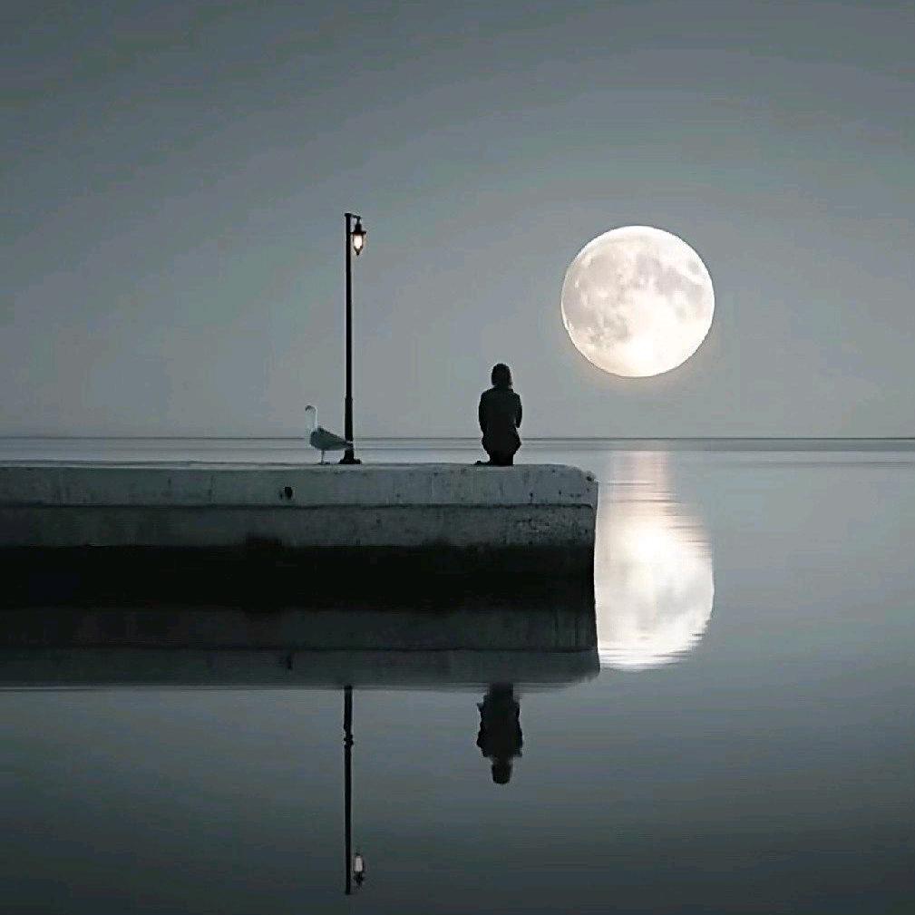 ٩(๛ 㞮  忎˘ ³˘)٩