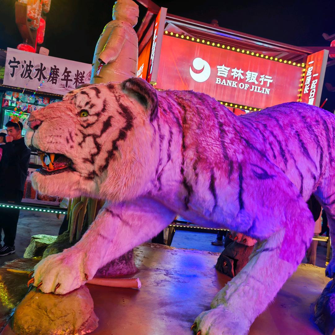 网约车，摇头🐡（汪汪队）