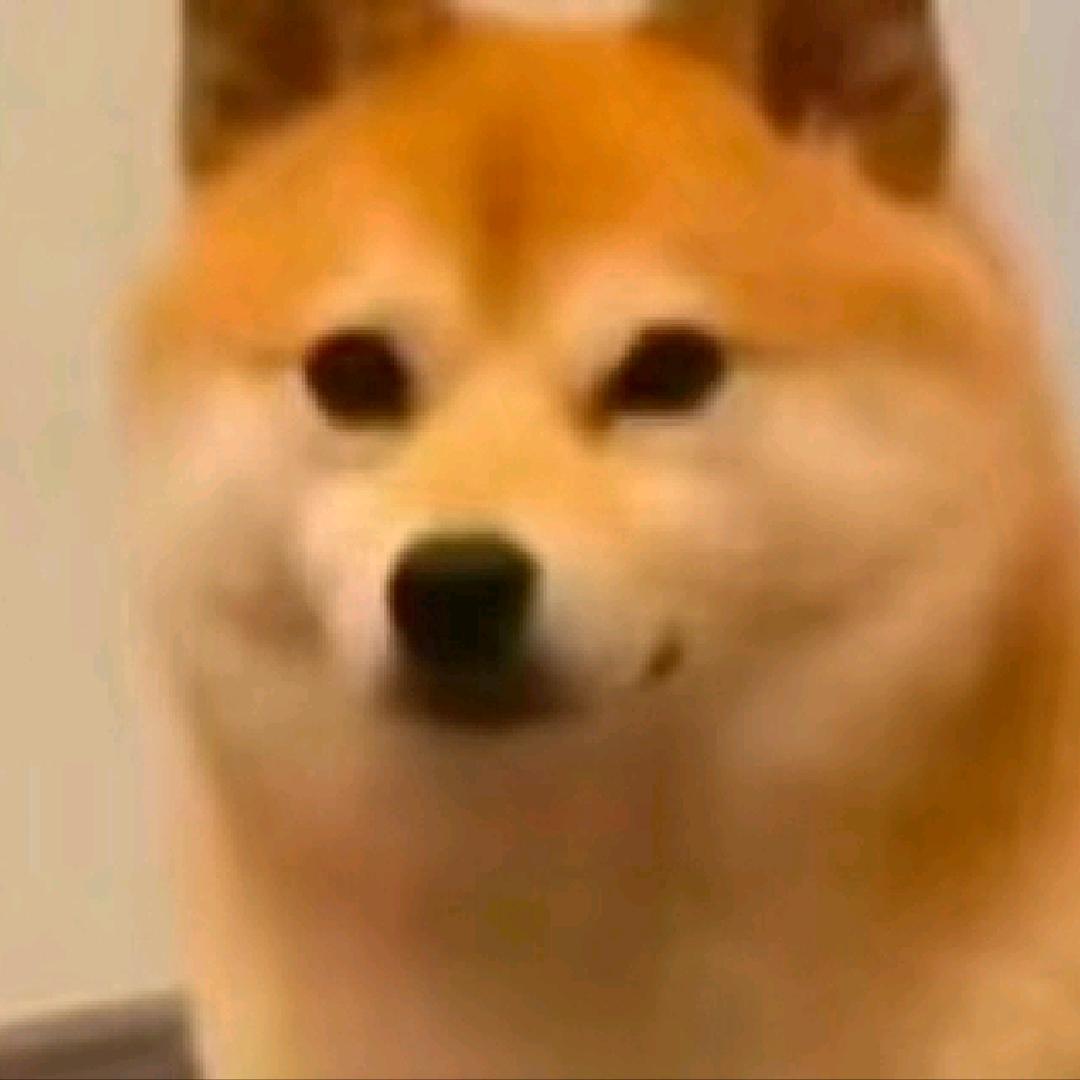 DIU～今天有点肺痒痒