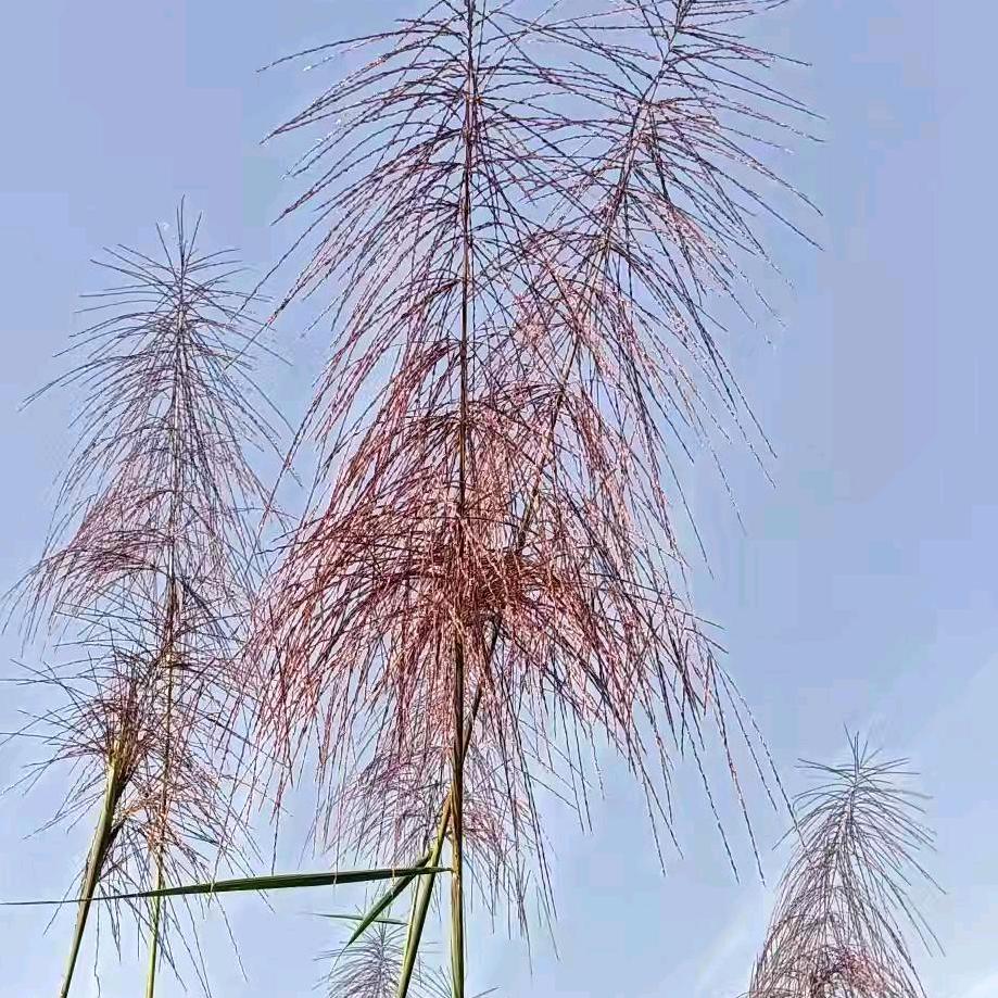 时过境迁…