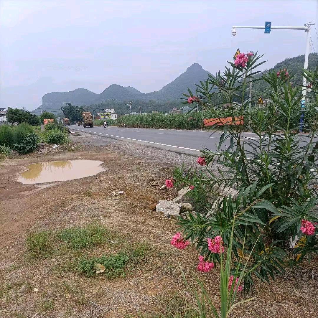 广西如诗贸易有限公司