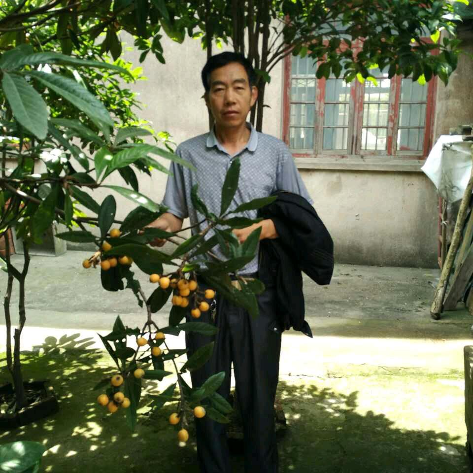 光头老王