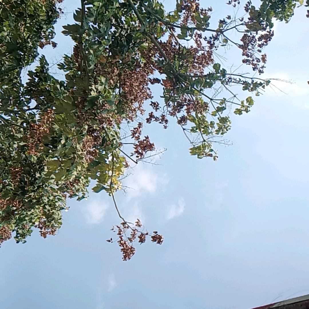 相约熟食