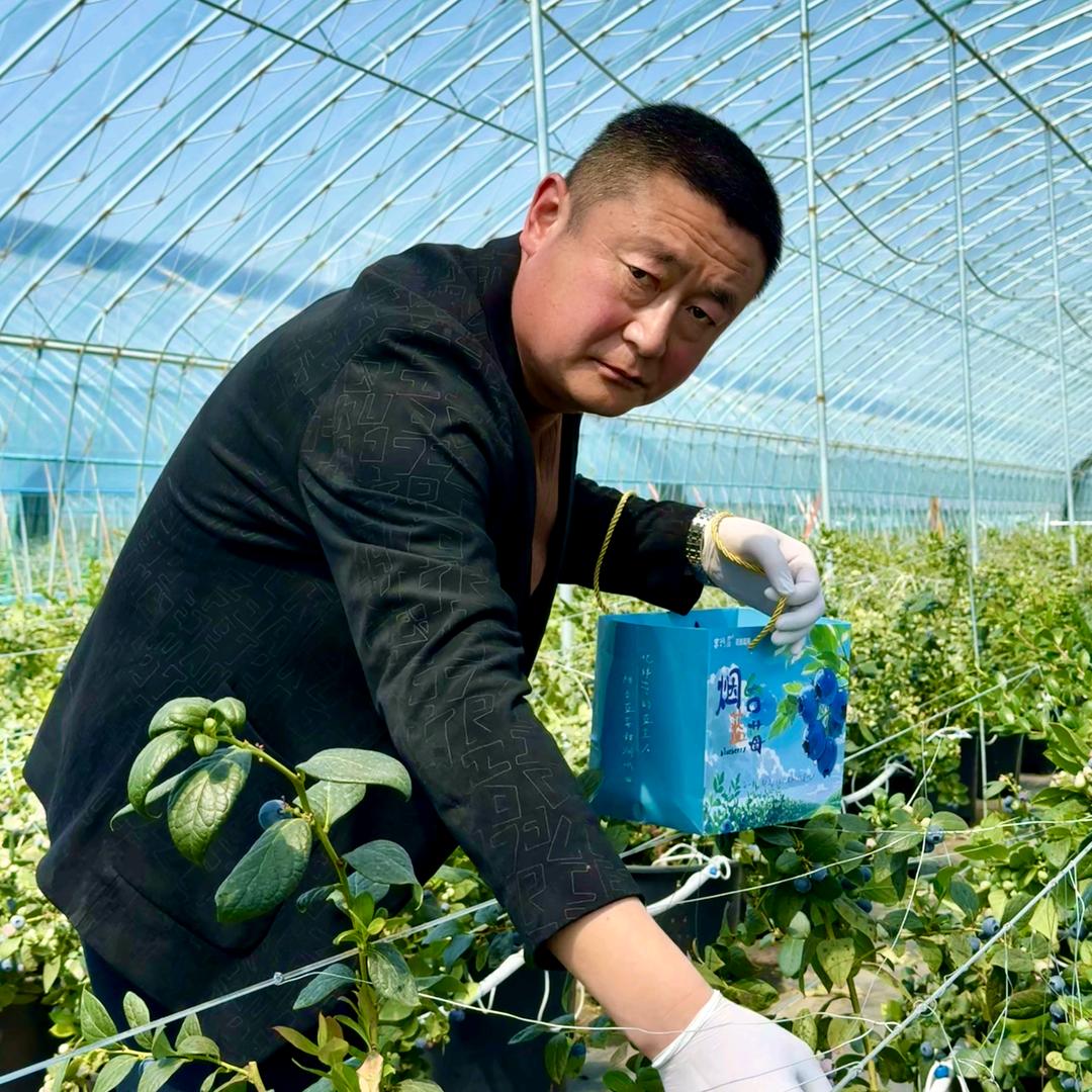 八甲村书记张爱军