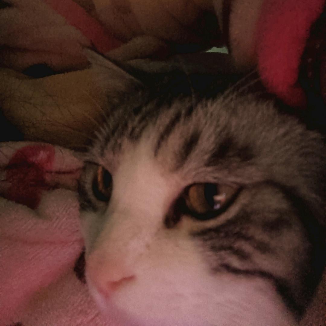 zjh