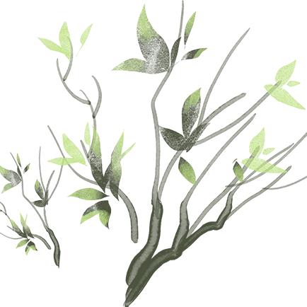 几叶沉浮🌿🌿🌿