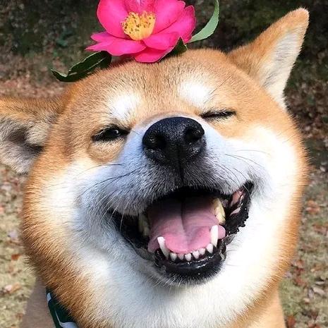 爆笑团长