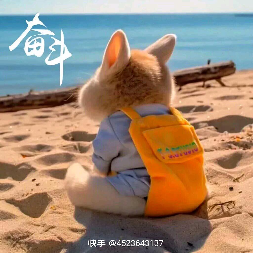 漫步人生路
