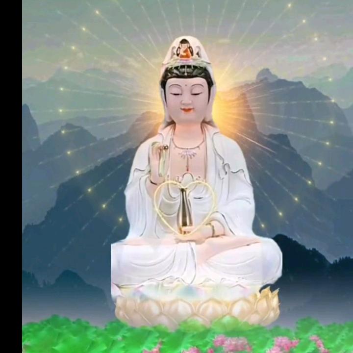 🔥伤了我的心🔥